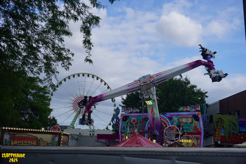 DSC02746 Watermarked.jpg