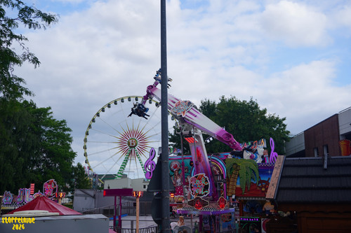 DSC02739 Watermarked.jpg