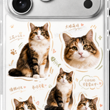 pc 6699e18bee0e ref 286ac041.png