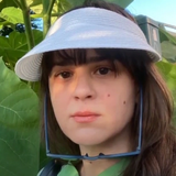 97385ee76762.png