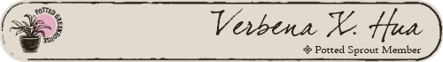 potted banner 34 verbena 1.png