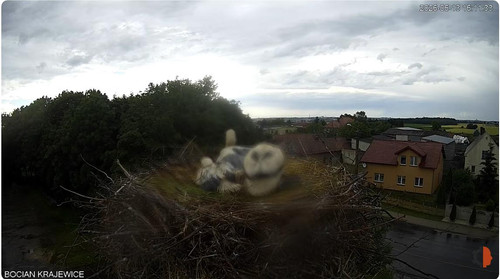 MWSnap854.jpg