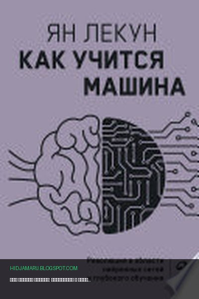Обложка книги «Как учится машина: Революция в области нейронных сетей и глубокого обучения» - Ян Лекун