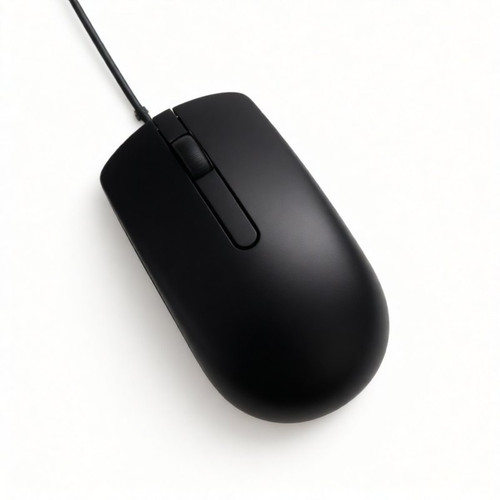 mouse.jpg
