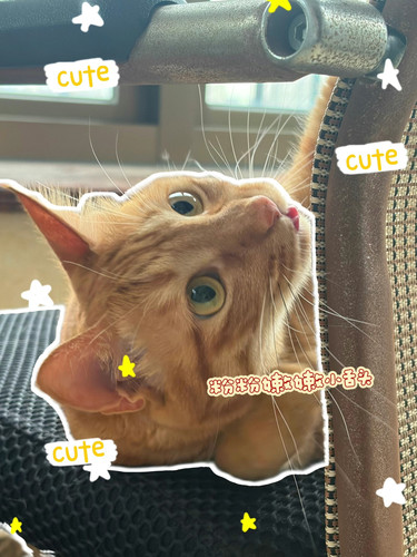 pc 7998111d71be user4 a0eb6f1c.jpg