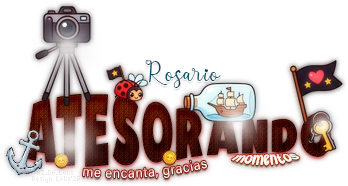 AtesorandoMomentosPirate AI DG Lolis Rosario.png