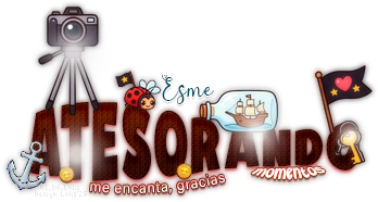 AtesorandoMomentosPirate AI DG Lolis Esme.png