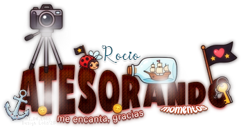 AtesorandoMomentosPirate AI DG Lolis Rocio.png