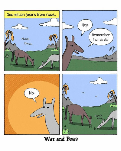 648552497 1473192757496997 1364937402042995800 n 6a29f9ea36988 700.jpg