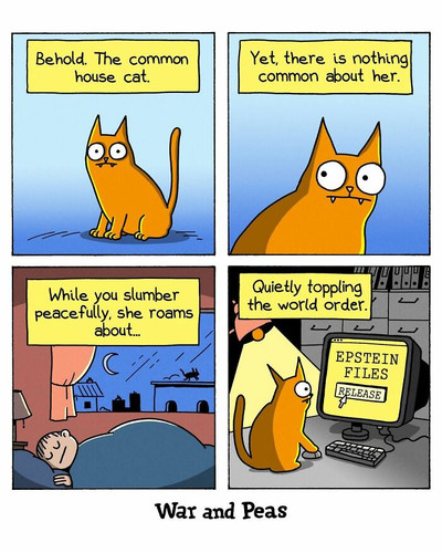 649132765 1473940367422236 2969097594650632918 n 6a29fa3579b83 700.jpg