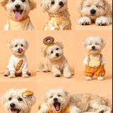 pc 03243f797068 user1 a03ded51.png