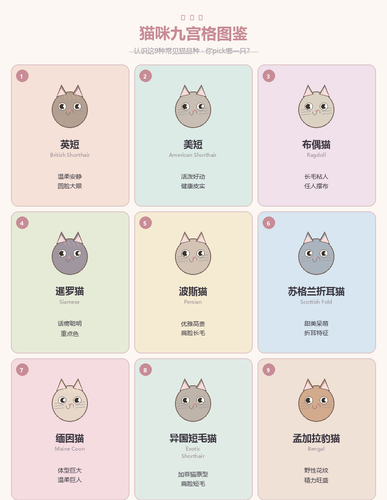cat grid.png