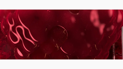 bt ysl.png