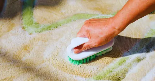 Ares Rug cleaning.webp