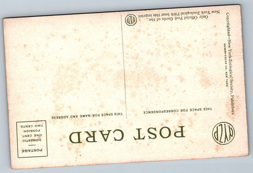 Postcards 05 21 26 0002.jpg