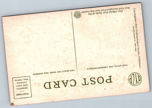 Postcards 05 21 26 0004.jpg