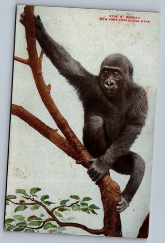 Postcards 05 21 26 0001.jpg