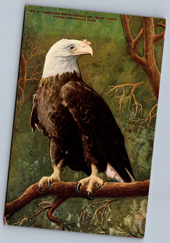 Postcards 05 21 26 0003.jpg