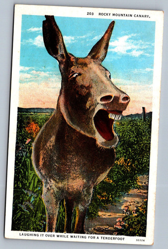 Postcards 05 21 26 0007.jpg