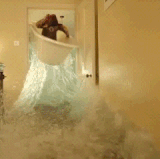 paddington.gif