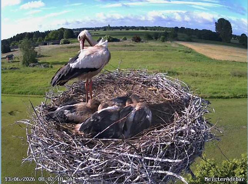 MWSnap692.jpg
