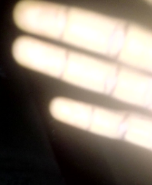 temp.png