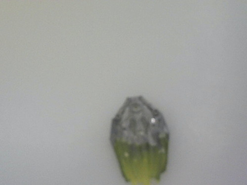 141153715.jpg