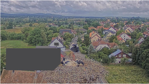 MWSnap670.jpg