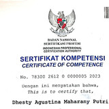 Serkom.jpg