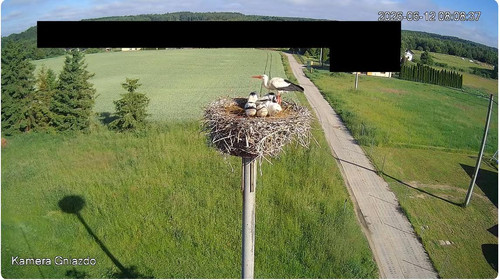 MWSnap380.jpg