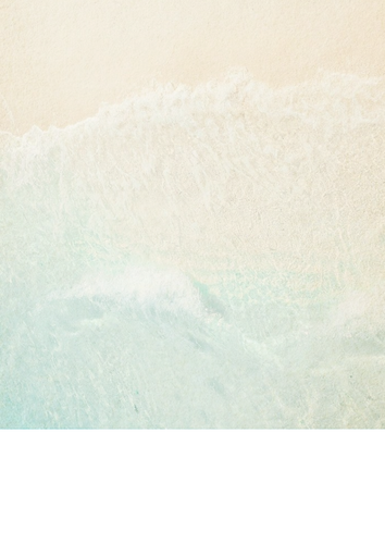 Untitled design (11).png