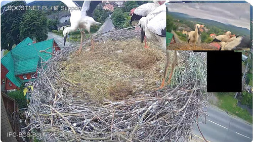 MWSnap400.jpg