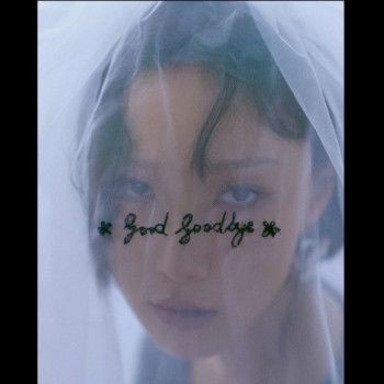 good goodbye.jpg