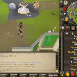 31