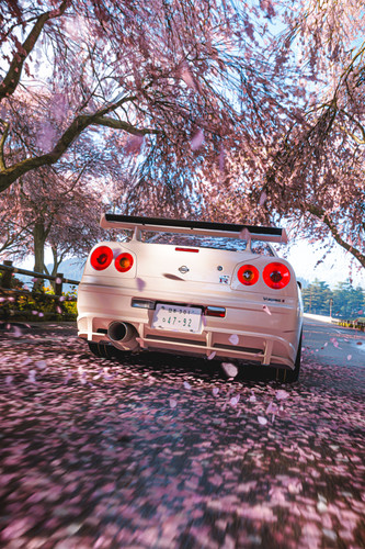 Skyline.jpg
