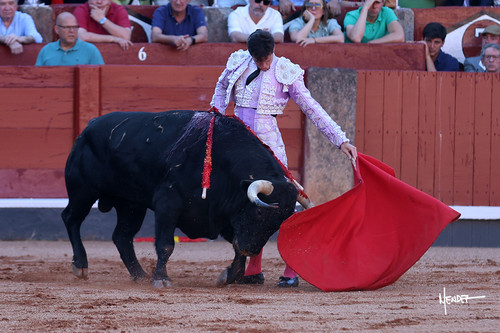 215A1498.jpg