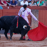 215A1498
