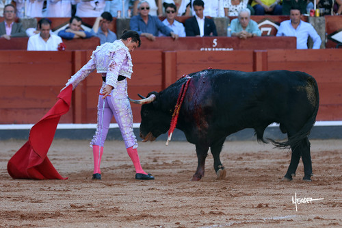 215A1670.jpg