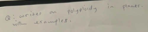 temp.png