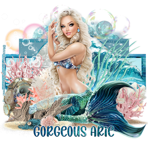 Gorgeous Arie 2026Sweet But Salty Misti.png