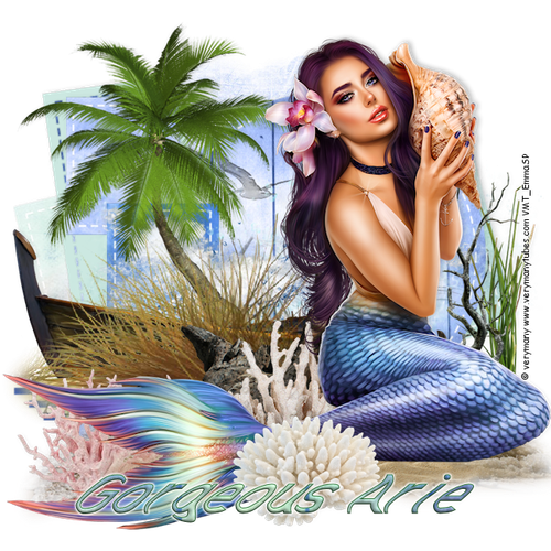 Gorgeous Arie 2026Calloftheseavm.png