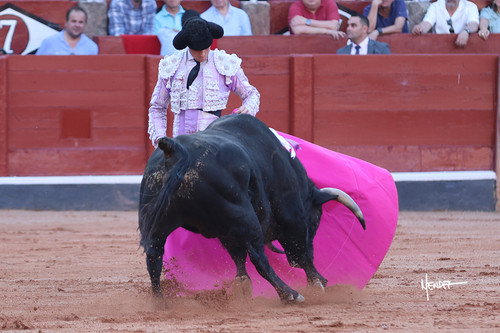 215A3398.jpg