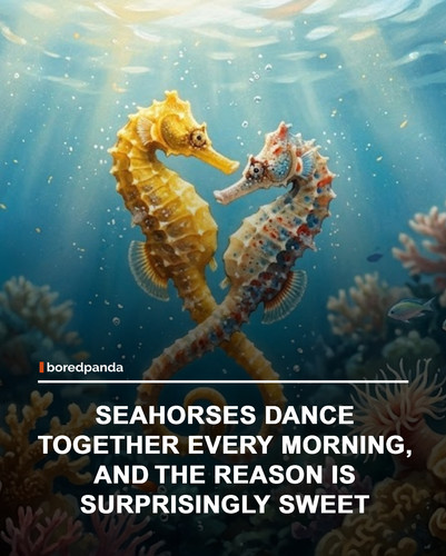 img facts.jpg