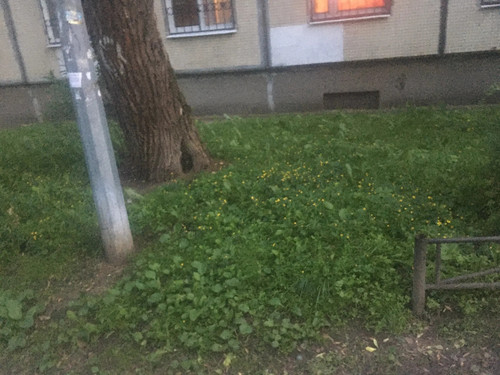 1000008128.jpg