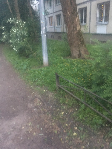 1000008130.jpg