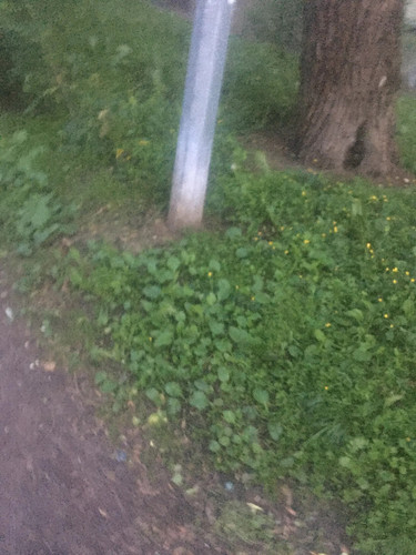 1000008129.jpg