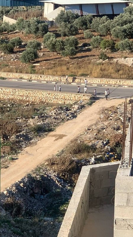 صورة الخبر