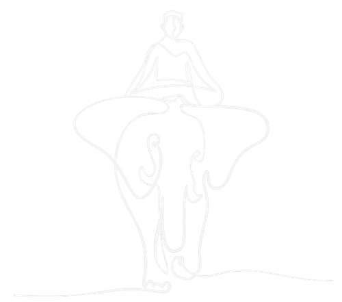 1 logo branco sem fundo (3).png
