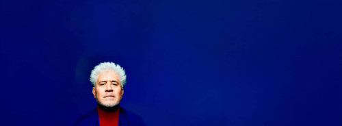 almodovar.jpg