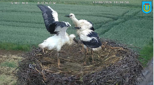 MWSnap930.jpg